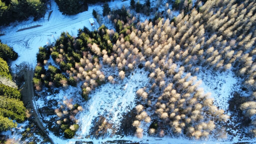 dji_fly_20260103_155904_67_1767452379862_photo_optimized